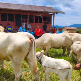 PSHA INCENTIVA A LOS EXPOSITORES DE EXPO-FERIA EN NUMPATKAIM